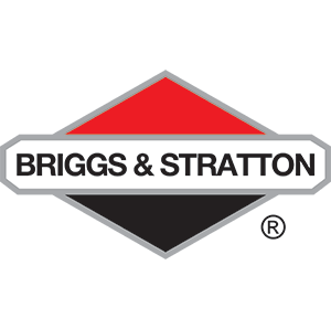 Briggs and Stratton Featured Image